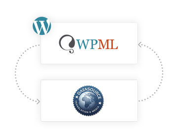 integration-transparent-wpml-dsi-11